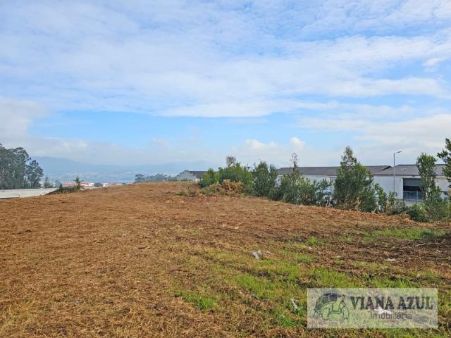 Terreno venda em Viana Do Castelo