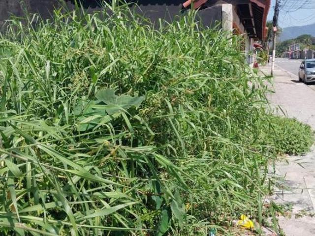 Terreno venda em Região Imediata de Santos, Região Metropolitana da Baixada Santista