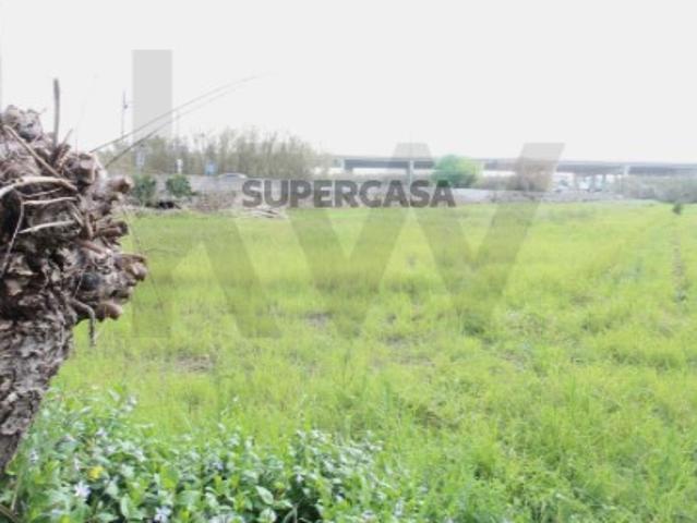 Terreno venda em Coimbrã, Ameal