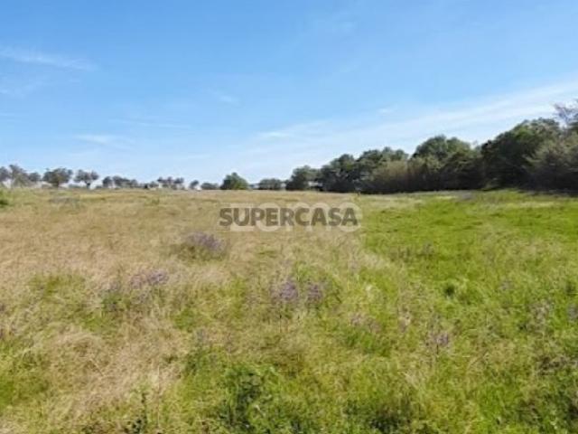 Terreno venda em Campo Maior Terreno venda em Campo Maior