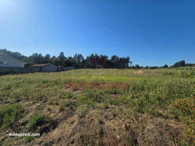 Terreno venda em Oliveira Do Bairro, Aveiro