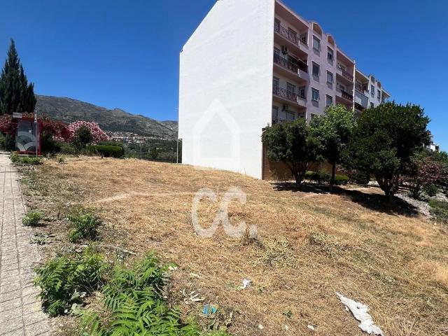 Terreno venda em Castelo Branco, Canhoso