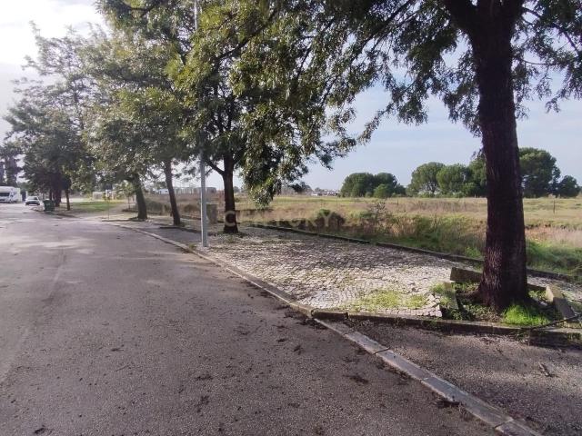 Terreno venda em Taipadas, Montijo