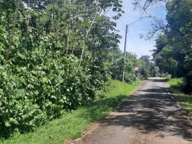Terreno venta en Chiriquí, David