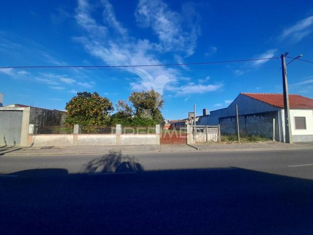 Terreno venda em Salvaterra De Magos, Santarém