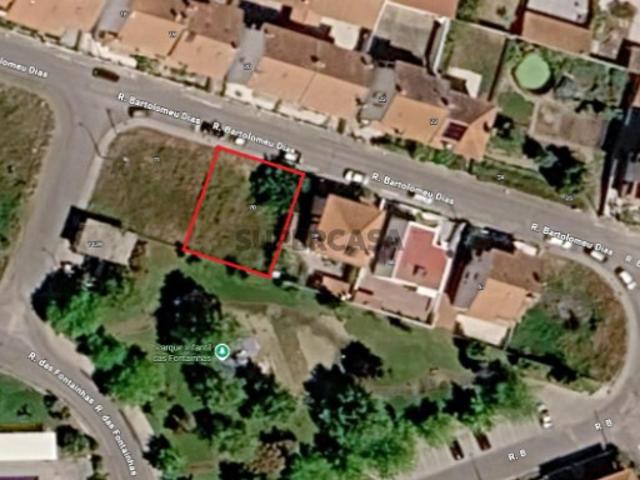 Terreno venda em Castelo Branco
