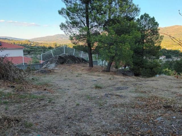 Terreno venda em Guarda