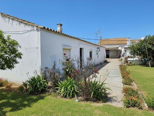 Terreno venda em Santiago Do Cacém, Setúbal