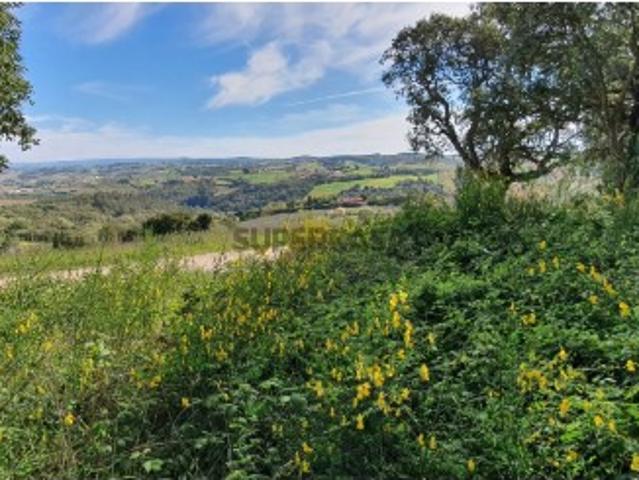 Terreno venda em Óbidos, Leiria
