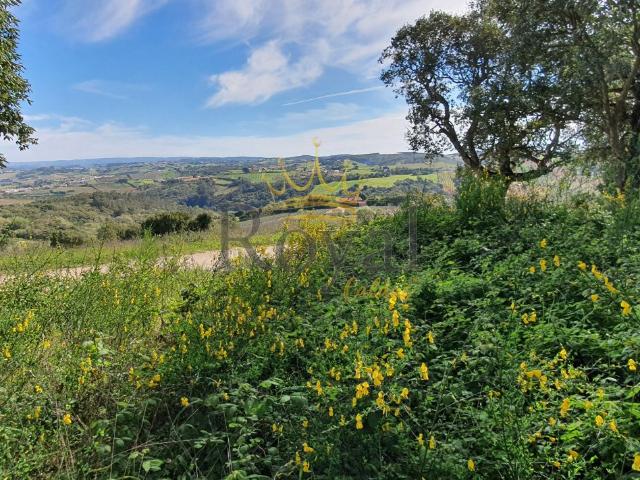Terreno venda em Óbidos, Leiria