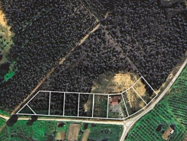 Terreno venda em Torres Vedras, Lisboa