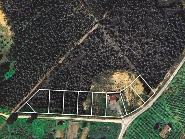 Terreno venda em Torres Vedras, Lisboa