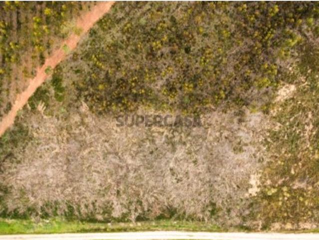 Terreno venda em Torres Vedras, Lisboa