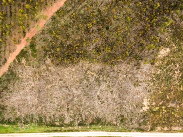 Terreno venda em Torres Vedras, Lisboa