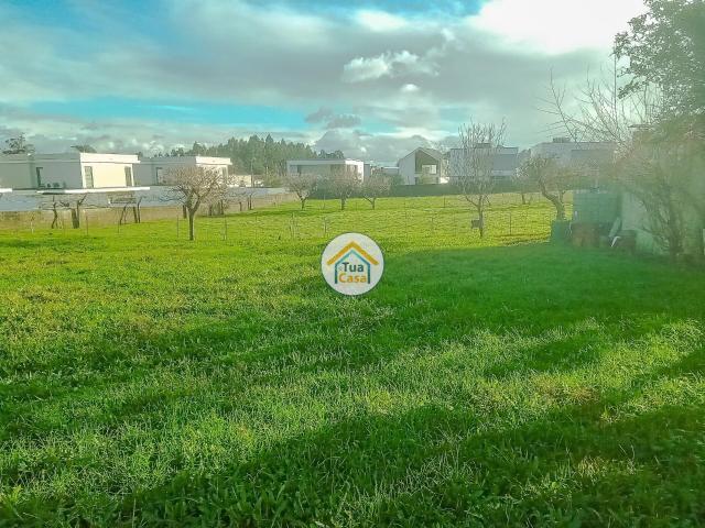 Terreno venda em Assilhó, Albergaria-a-velha