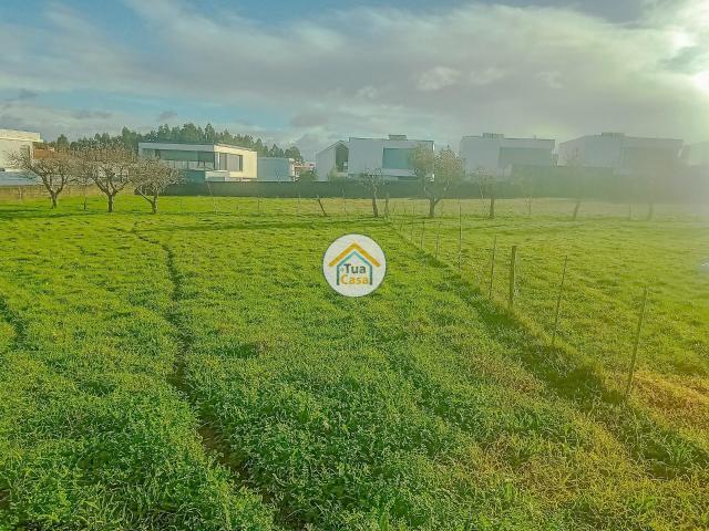 Terreno venda em Assilhó, Albergaria-a-velha