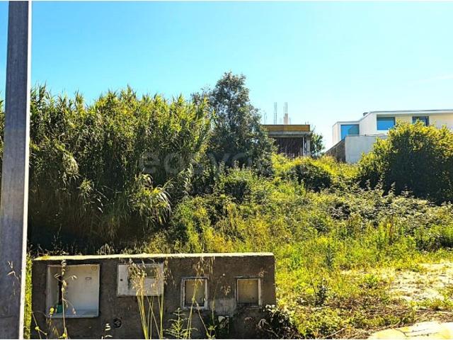 Terreno venda em Torres Novas, Santarém