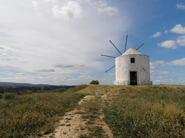 Terreno venda em Póvoa do Manique, Azambuja