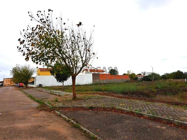 Terreno venda em Golegã, Santarém