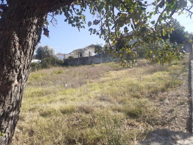 Terreno venda em Calhandriz, Lisboa