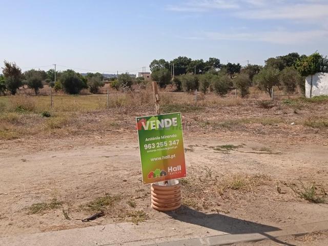 Terreno venda em Alvito, Vila Nova Da Baronia