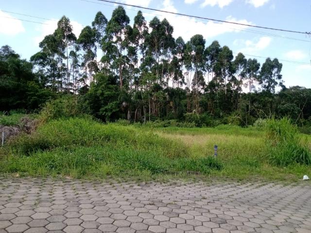 Terreno venda em Região Geográfica Imediata de Ibirama-Presidente Getúlio, Ibirama
