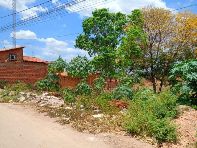 Terreno venda em Região Geográfica Imediata de Timon, Região Integrada de Desenvolvimento da Grande Teresina