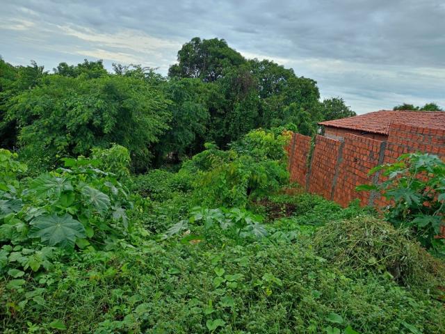 Terreno venda em Região Geográfica Imediata de Timon, Região Integrada de Desenvolvimento da Grande Teresina