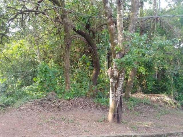 Terreno venda em Região Geográfica Imediata de Belo Horizonte, Região Metropolitana de Belo Horizonte