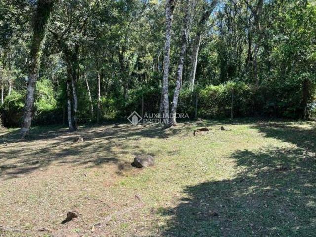 Terreno venda em Gramado