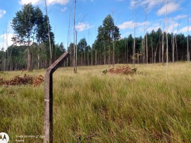 Sítio e chácara venda em Região Imediata de Botucatu, Bofete