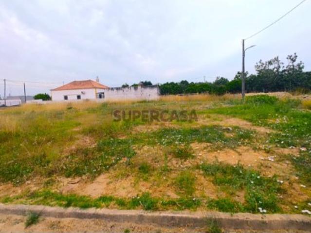 Terreno venda em Santiago Do Cacém, Setúbal