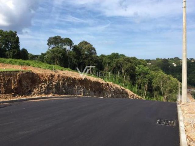 Terreno venda em Região Geográfica Imediata de Bento Gonçalves, Bento Gonçalves