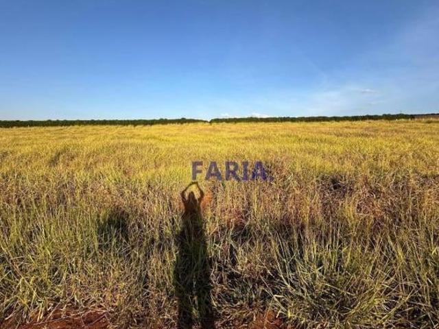 Terreno venda em Região Geográfica Imediata de Alfenas, Fama