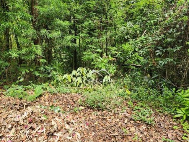 Terreno venda em Região Geográfica Imediata de Belo Horizonte, Região Metropolitana de Belo Horizonte