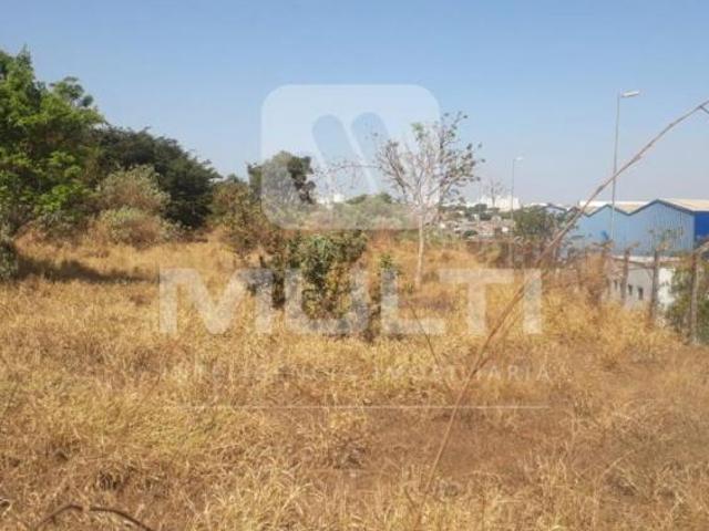 Terreno venda em Região Geográfica Imediata de Uberlândia, Oliveira Fortes