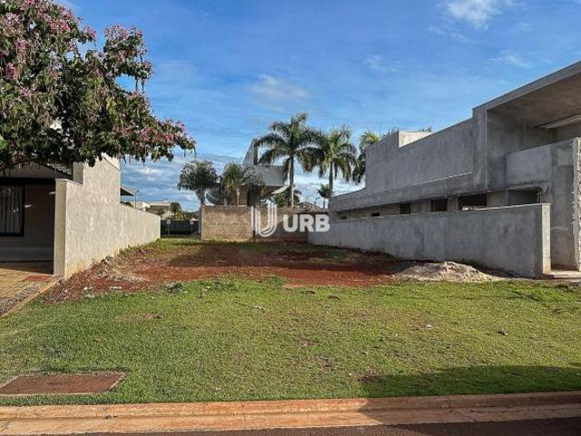Terreno venda em Região Geográfica Imediata de Dourados, Dourados