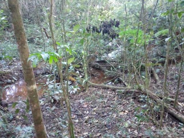 Terreno venda em Região Geográfica Imediata de Barbacena, Ibertioga
