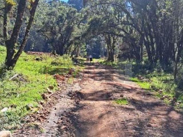 Terreno venda em Região Geográfica Imediata de Pouso Alegre, Camanducaia