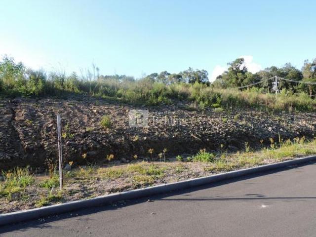 Terreno venda em Gramado
