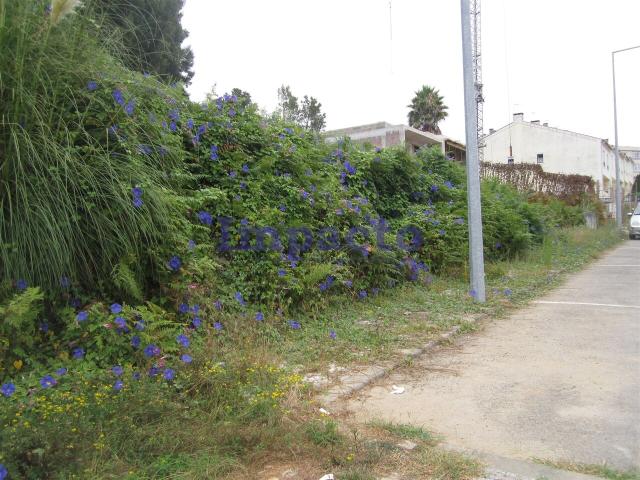 Terreno venda em Oliveira De Azeméis, Aveiro