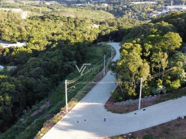 Terreno venda em Região Geográfica Imediata de Bento Gonçalves, Bento Gonçalves