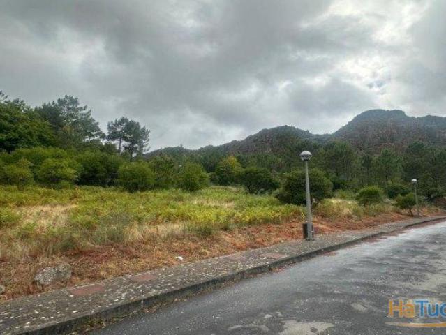 Terreno venda em Pampilhosa Da Serra, Coimbra