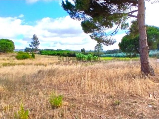 Terreno venda em Torres Vedras, Lisboa