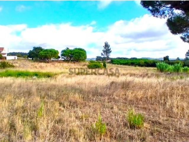 Terreno venda em Olho Polido, Torres Vedras
