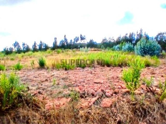 Terreno venda em Olho Polido, Torres Vedras