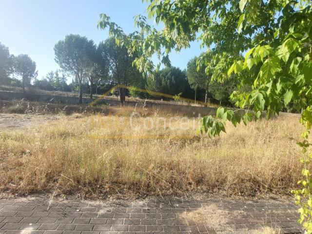 Terreno venda em Constância, Santarém