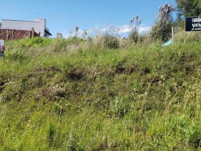 Terreno venda em Campo Bom