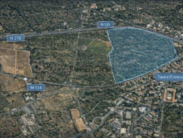 Terreno venda em Tavira, Faro