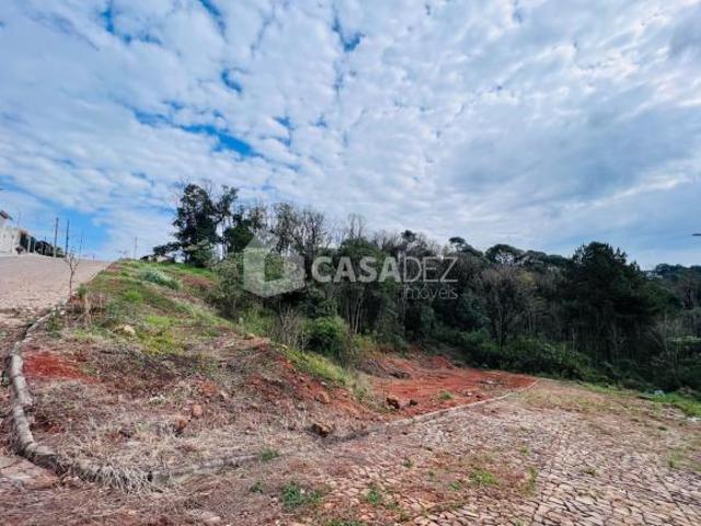 Terreno venda em Região Geográfica Imediata de Erechim, Barão de Cotegipe